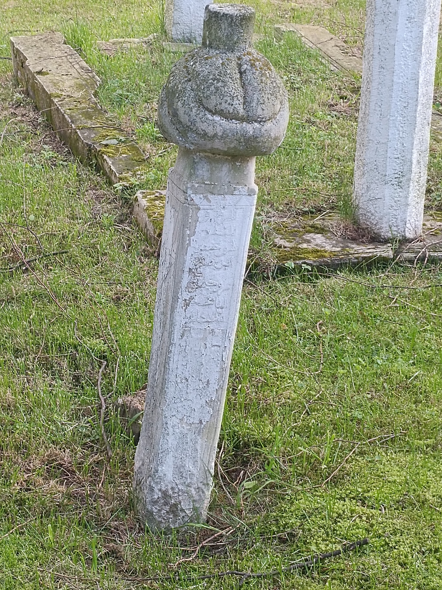 sasa obrisi