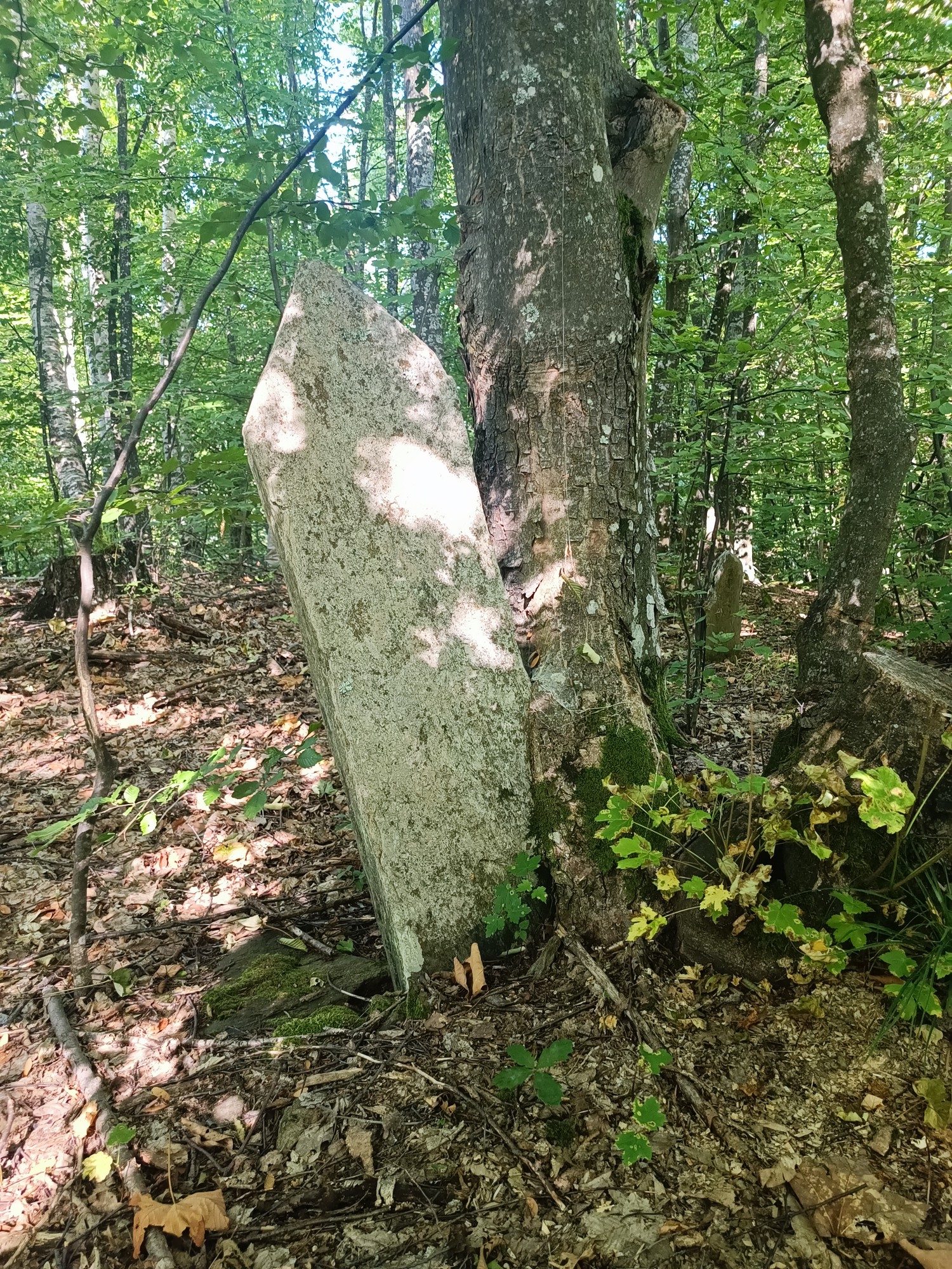 Fotografija groba Stari veliki nišan