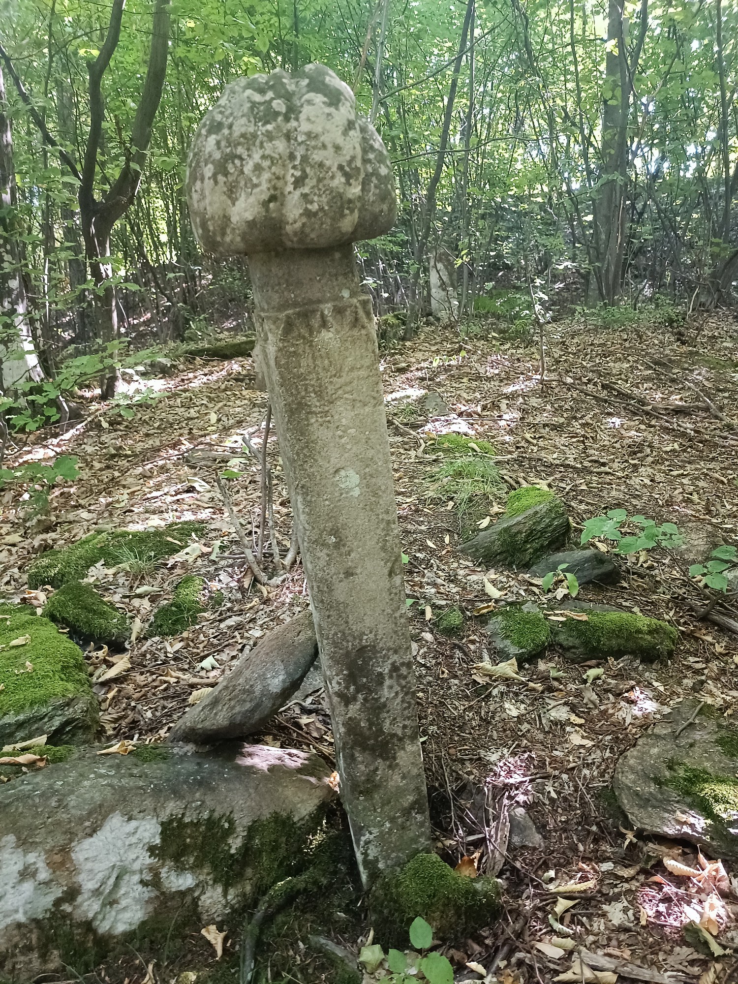 Fotografija groba Visoki tanki nišan