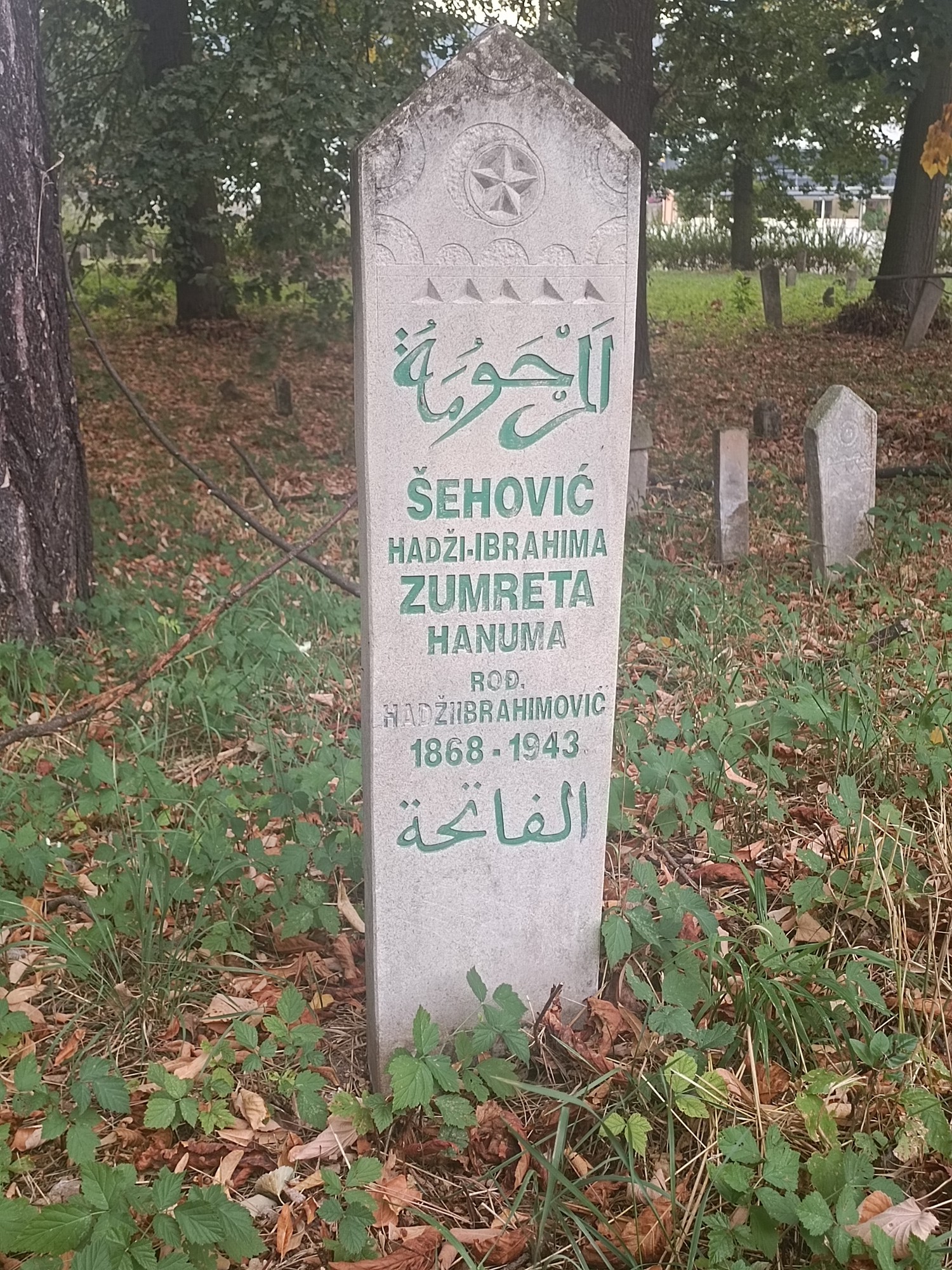 Fotografija groba Zumreta Šehović